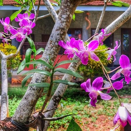 Vedic Heritage Boutique Hotel Ковалам Екстер'єр фото