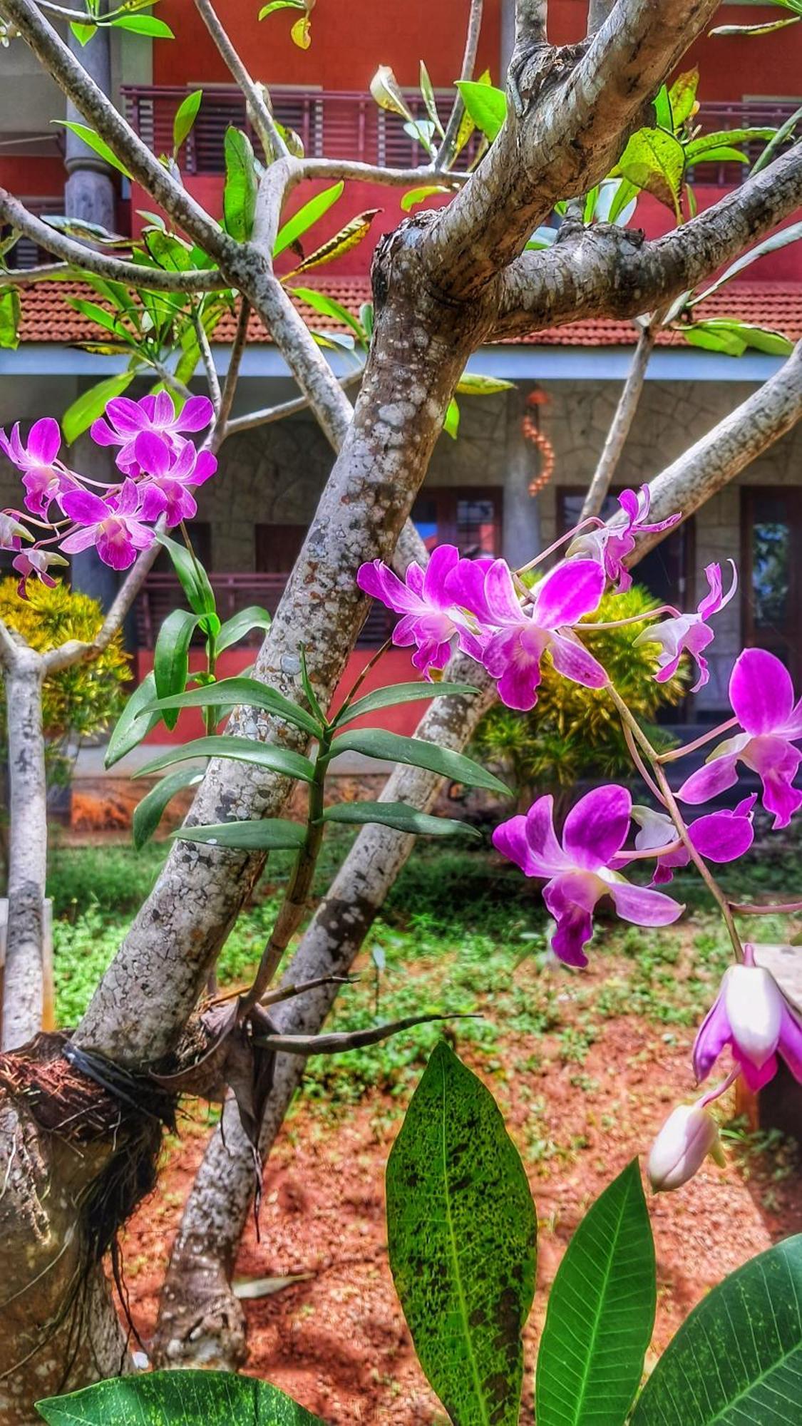 Vedic Heritage Boutique Hotel Ковалам Екстер'єр фото